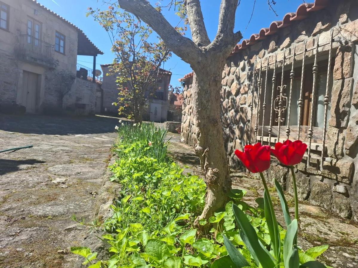 Casas Do Juizo - Country Houses Bagian luar foto